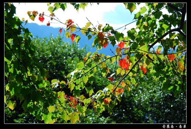 按此在新視窗瀏覽圖片