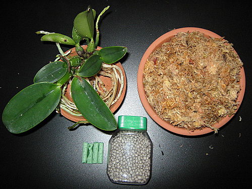 «ö¦¹¦b·sµøµ¡ÂsÄý¹Ï¤ù