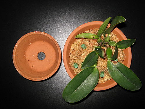 «ö¦¹¦b·sµøµ¡ÂsÄý¹Ï¤ù