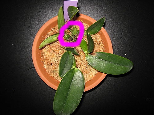 «ö¦¹¦b·sµøµ¡ÂsÄý¹Ï¤ù