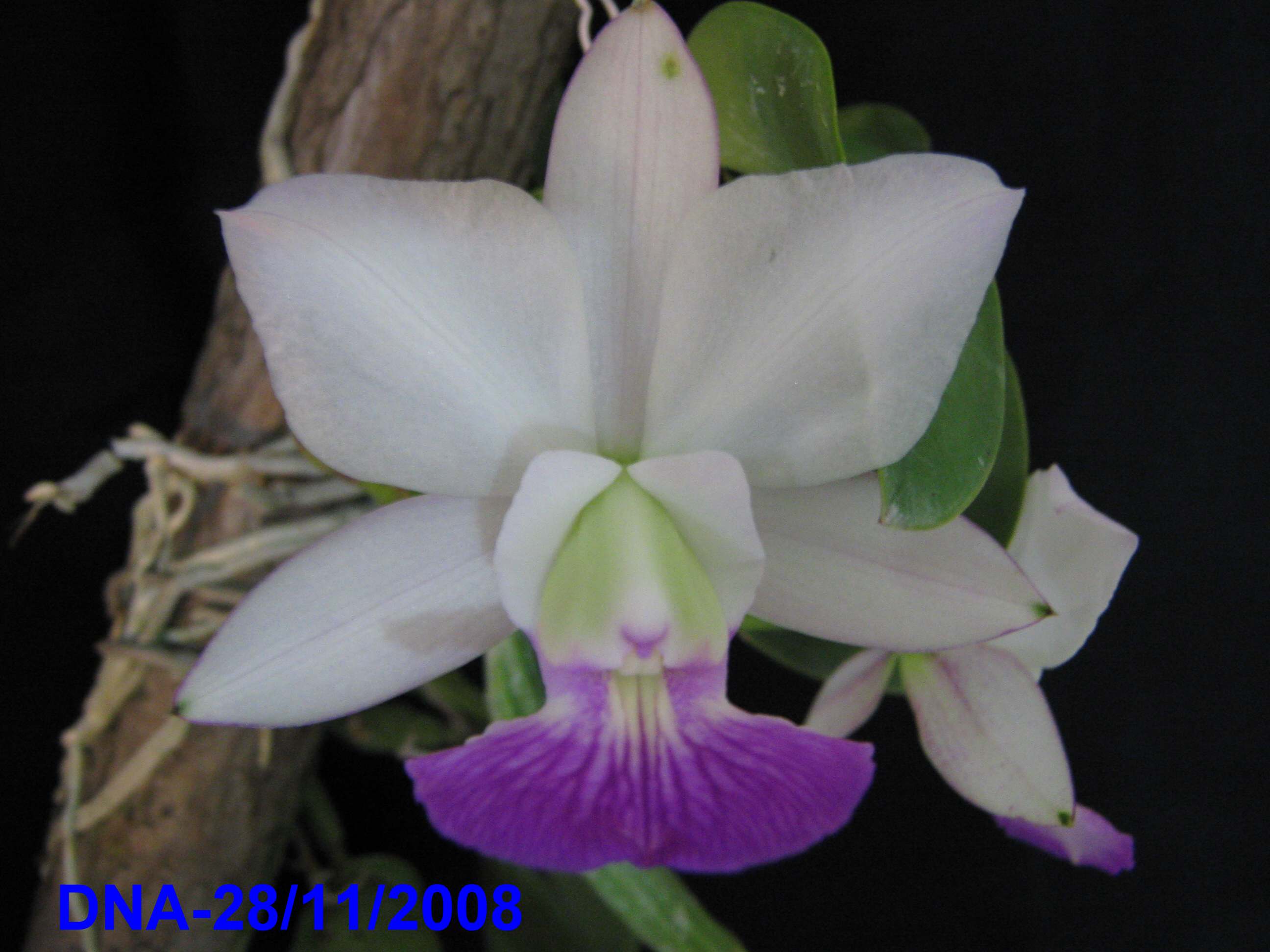 «ö¦¹¦b·sµøµ¡ÂsÄý¹Ï¤ù