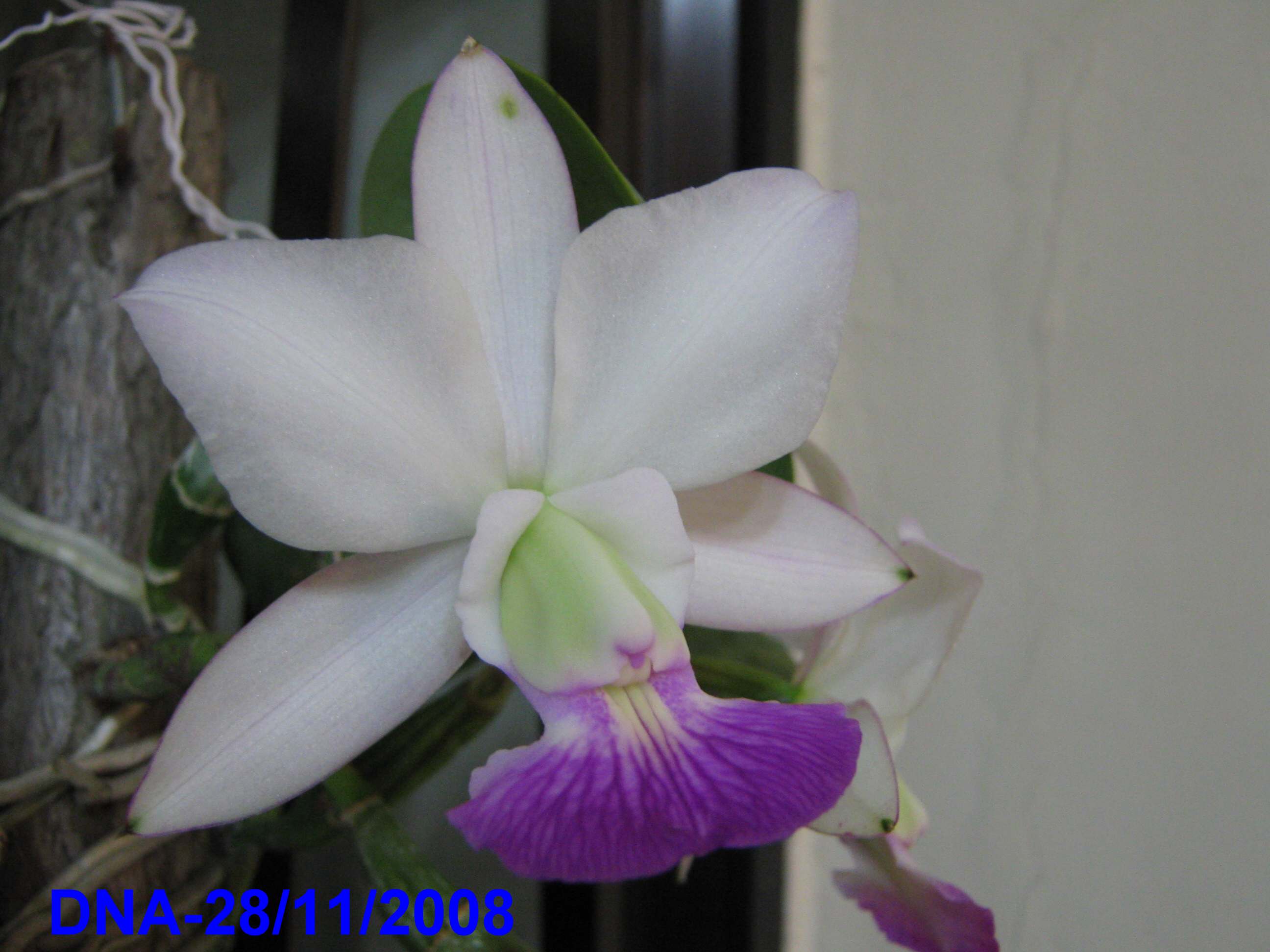 «ö¦¹¦b·sµøµ¡ÂsÄý¹Ï¤ù