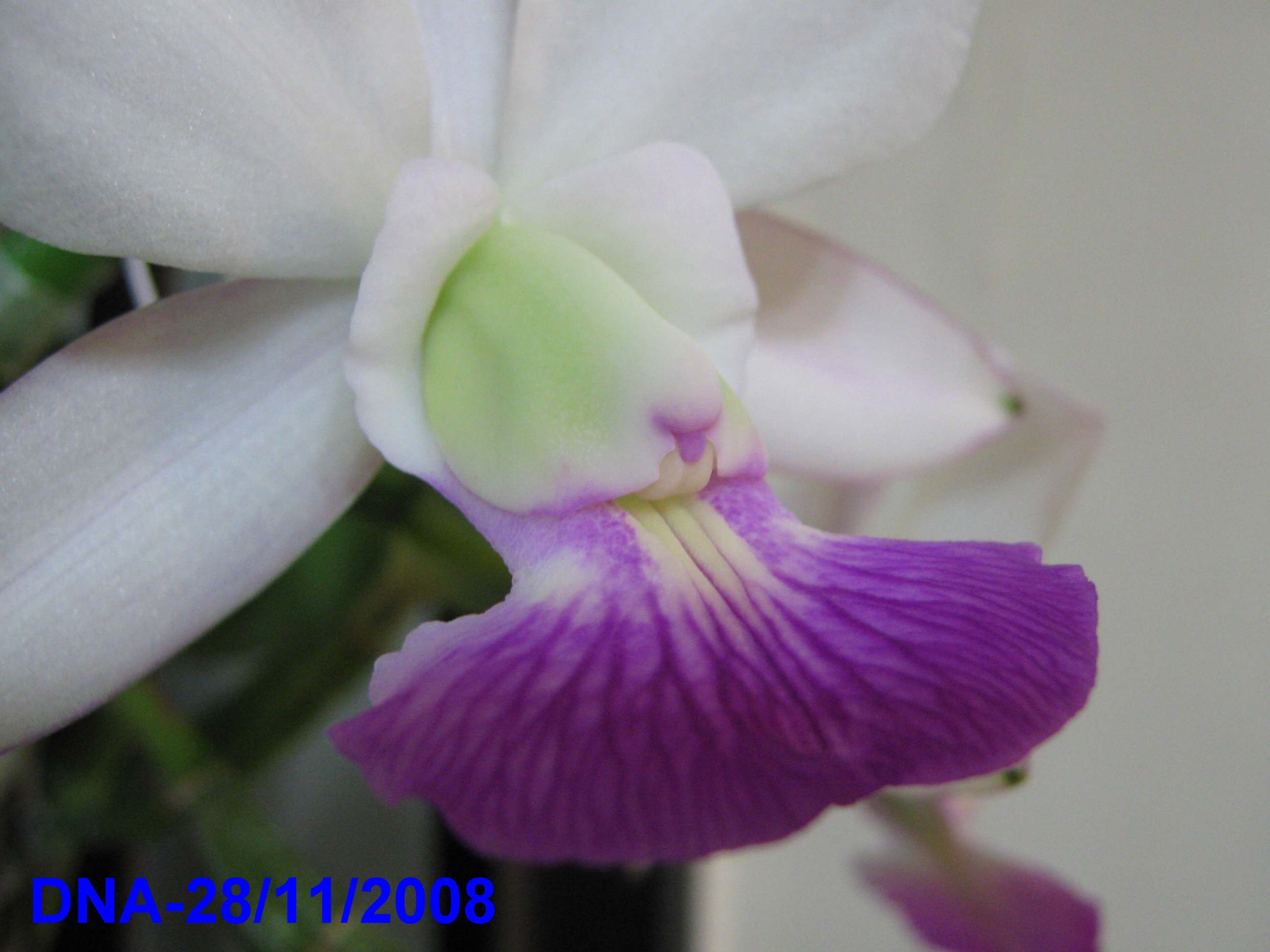 «ö¦¹¦b·sµøµ¡ÂsÄý¹Ï¤ù