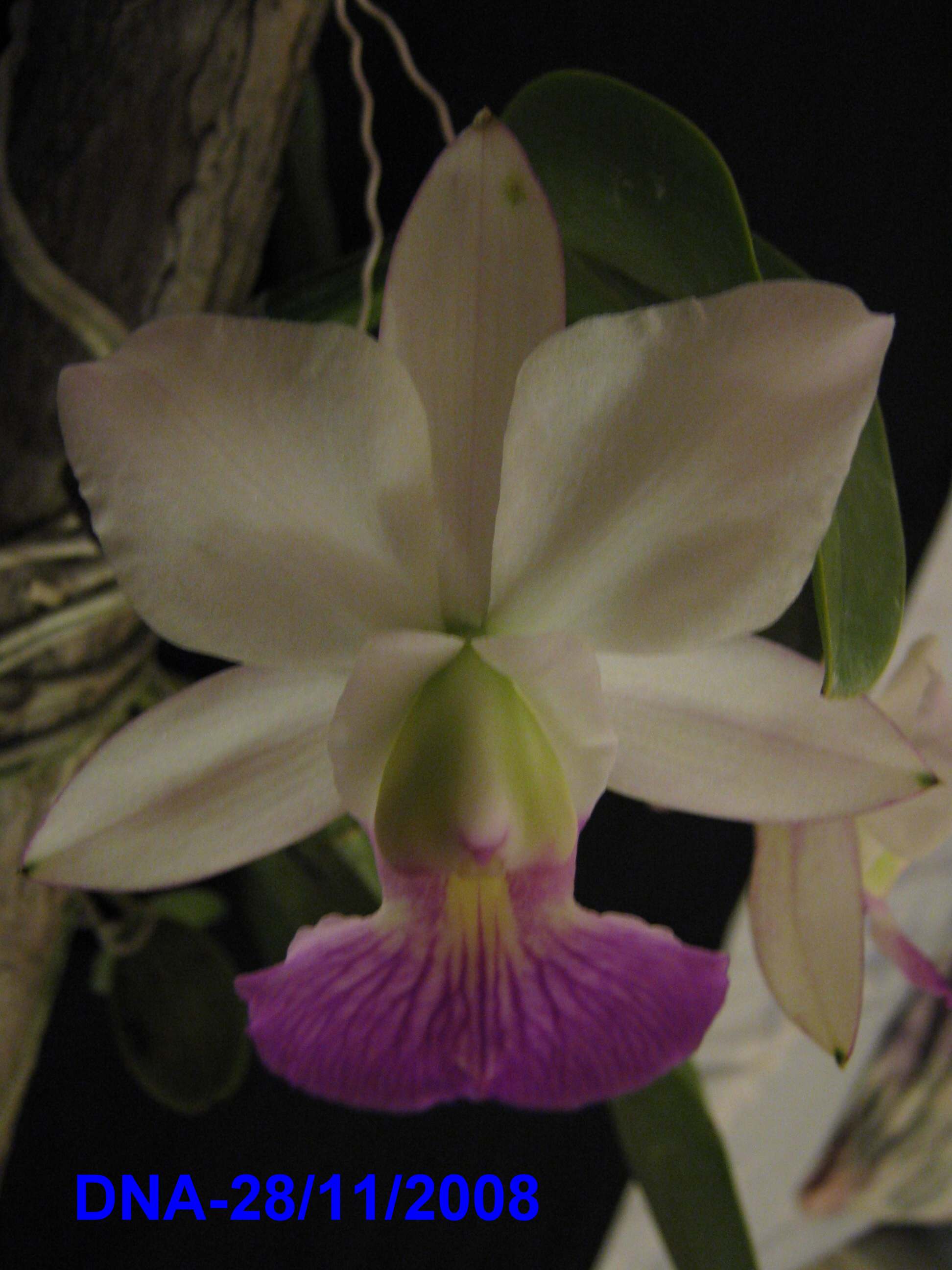 «ö¦¹¦b·sµøµ¡ÂsÄý¹Ï¤ù