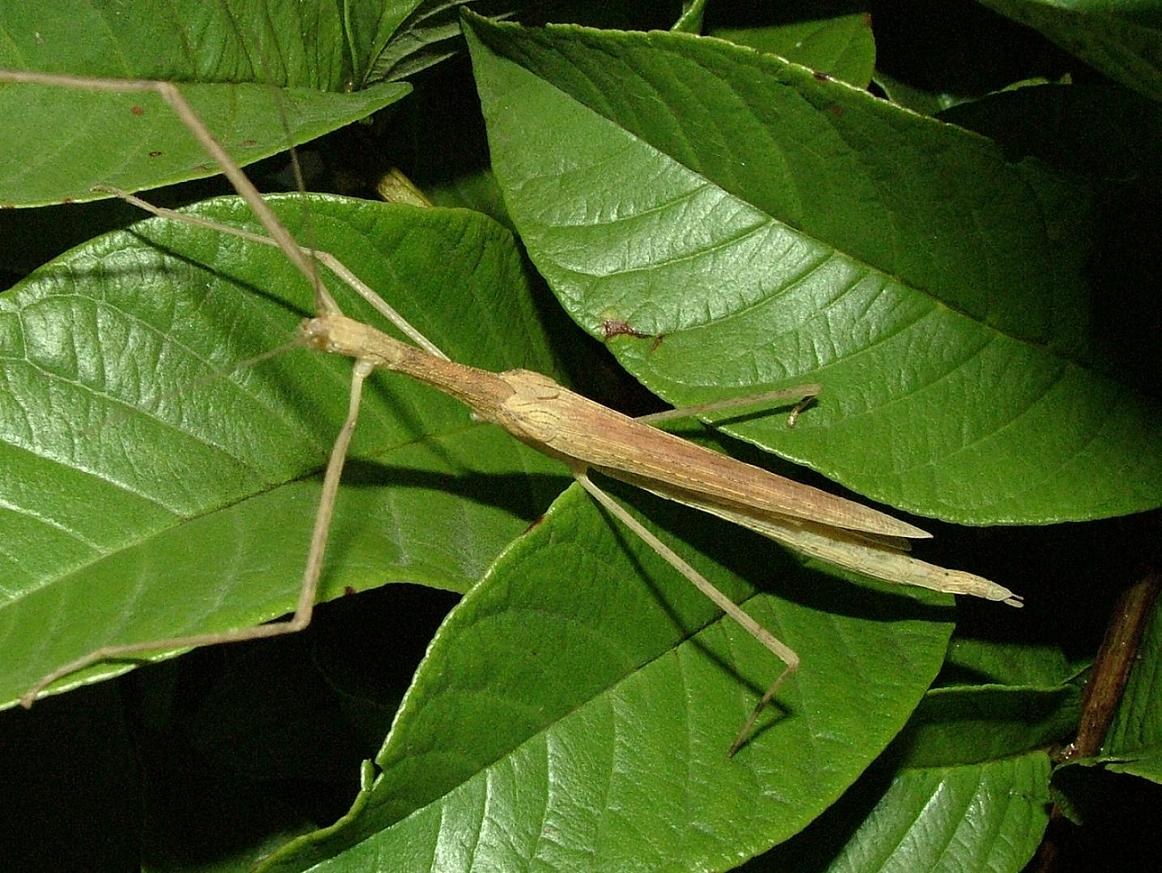 «ö¦¹¦b·sµøµ¡ÂsÄý¹Ï¤ù