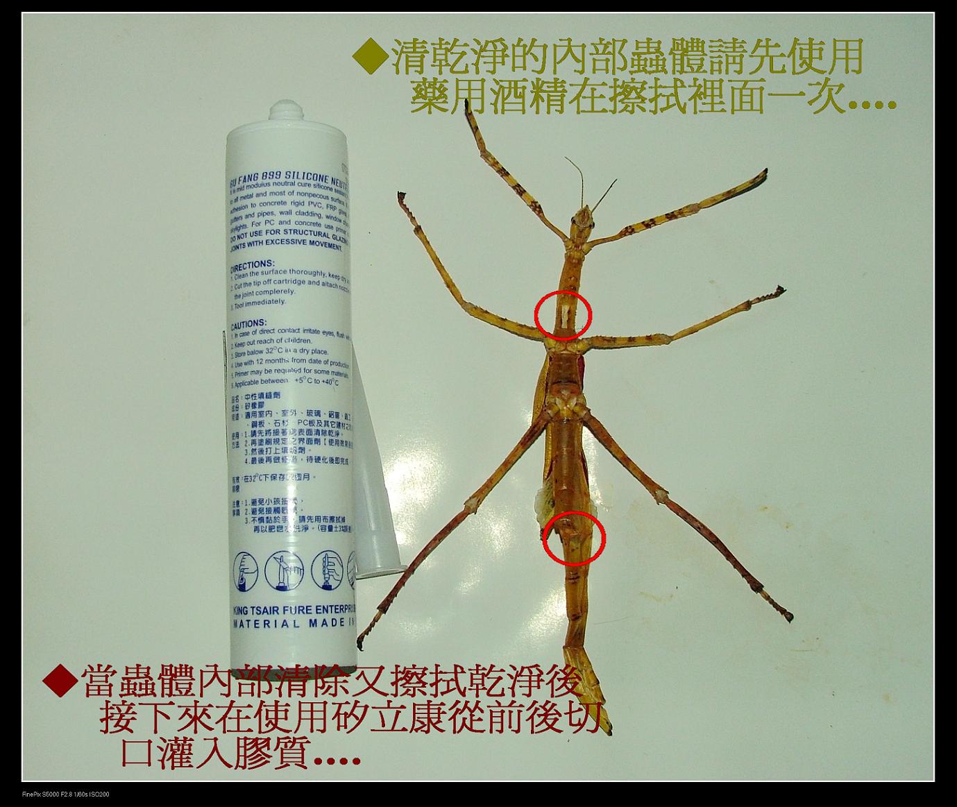 «ö¦¹¦b·sµøµ¡ÂsÄý¹Ï¤ù