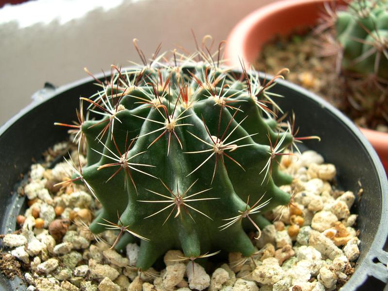 «ö¦¹¦b·sµøµ¡ÂsÄý¹Ï¤ù